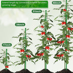 20Pcs Plant Support Stakes 17 Inch Supking Garden Orchid Sticks Extended To 3Ft 4Ft 5Ft Plant Poles With Clips For Indoor Outdoor Potted Tomato Rose Amaryllis Vegetables Comes With 20 Ties（Green）