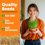 Home Grown Non Gmo 1 Pound Cat Grass 12,700+ Seeds & Kittens Oat & Barley Mix 100% Heirloom, Grow Fresh Kitty For Chewing, Pet Indoor Garden