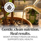 Big Green Leaves Indoor Plant Food – 4X Concentrated Fertilizer, 1 Lb | Fast-Acting Mineral + Organic Sea Kelp Formula. Makes 90 Gallons Of Liquid Fertilizer For Thriving Houseplants.