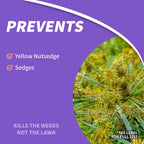 Bonide Sedge Ender, 16 Oz Concentrated Weed Killer For Outdoors | Fast-Acting And Rainproof, Lawn Friendly Formula
