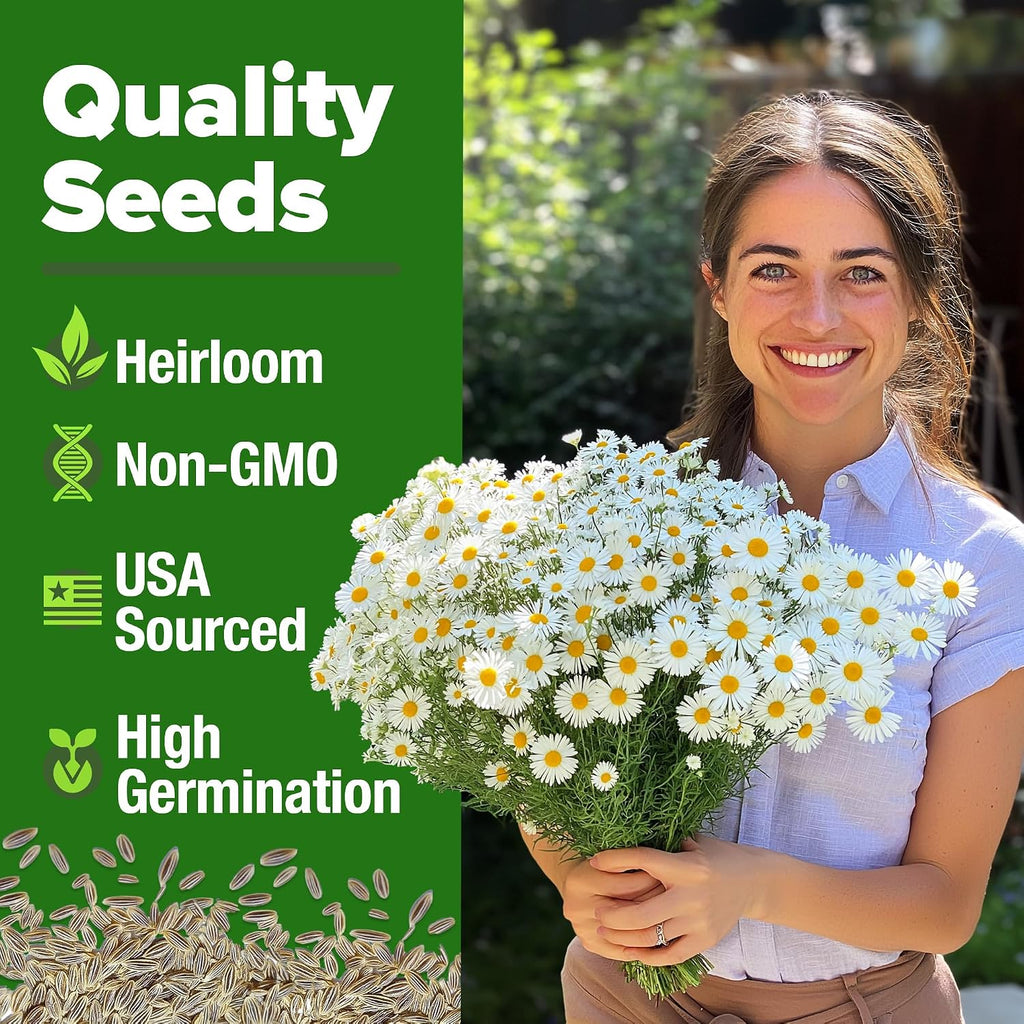 Home Grown German Chamomile Seed Pack 2,280 Non Gmo Heirloom Seeds For Planting For Sustainable Gardens And Soothing Medicinal Herbal Teas (Matricaria Chamomilla)