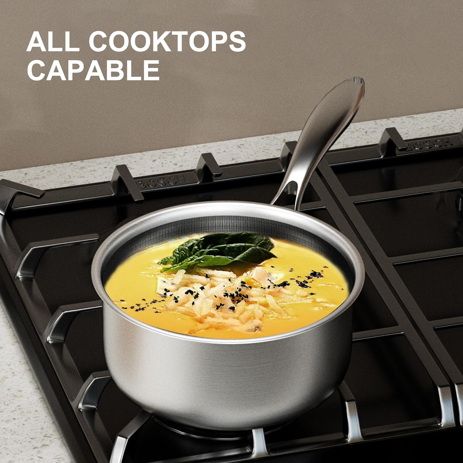 COOKER KING 2 Quart Stainless Steel Saucepan, Nonstick Sauce Pan, Ceramic Suce Pot with Tempered Glass Lid, Induction Pot Compatible with All Cooktops, Dishwasher & Oven Safe(PFAS/PFOA/PTFE Free)