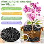 2 Qt Horticultural Charcoal- Natural Charcoal For Plants, Biochar Soil Amendment For Indoor Plants, Terrariums, Orchids Potting Mix And Gardening