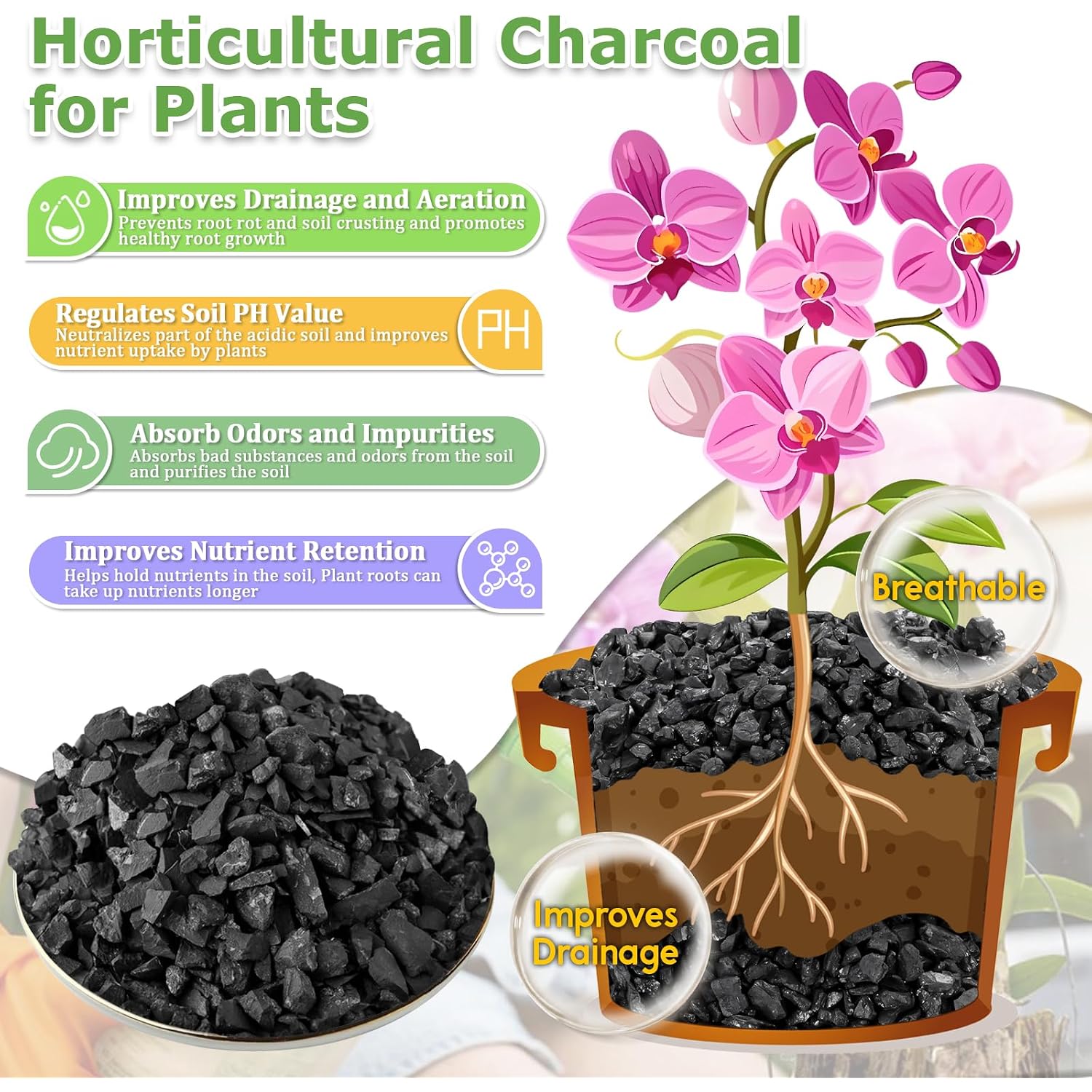 2 Qt Horticultural Charcoal- Natural Charcoal For Plants, Biochar Soil Amendment For Indoor Plants, Terrariums, Orchids Potting Mix And Gardening