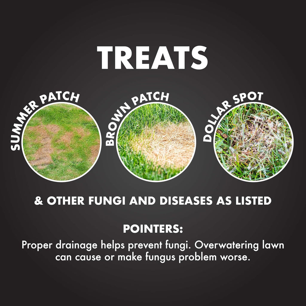 Spectracide Immunox Fungus Plus Insect Control For Lawns 32 Ounces, Dual Action, Hose-End Concentrate, Clear/Light Yellow