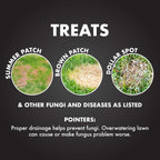 Spectracide Immunox Fungus Plus Insect Control For Lawns 32 Ounces, Dual Action, Hose-End Concentrate, Clear/Light Yellow