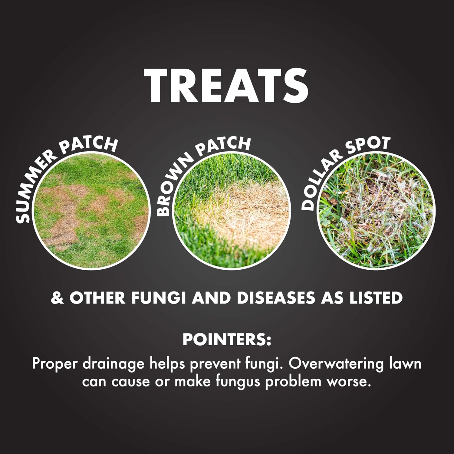 Spectracide Immunox Fungus Plus Insect Control For Lawns 32 Ounces, Dual Action, Hose-End Concentrate, Clear/Light Yellow
