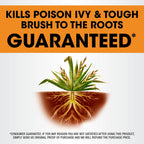 Roundup Poison Ivy Plus Tough Brush Killer₂ With Comfort Wand, Visible Results In Hours, 1 Gal.