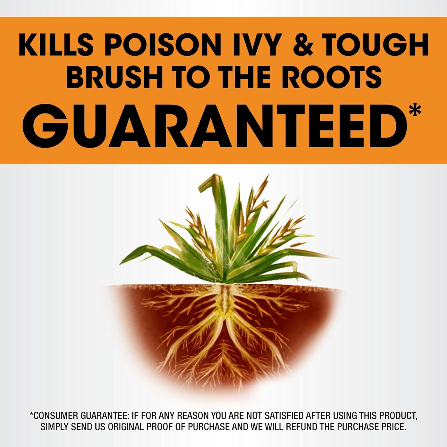 Roundup Poison Ivy Plus Tough Brush Killer₂ With Comfort Wand, Visible Results In Hours, 1 Gal.