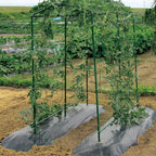Garden Stakes, 25 Pack Steel Plant Garden Tomato Stakes With Plastic Coat For Climbing Plants (25 Pack 58 Inch)