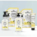 J.R. Watkins Foaming Hand Soap with Pump Dispenser, Moisturizing Foam Hand Wash, Alcohol-Free, Cruelty-Free, Citron, 9 fl oz, 3 Pack