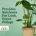 Miracle-Gro Indoor Plant Food For Tropicals, 8 Fl. Oz. (2-Pack) | Liquid Plant Food For Tropical Houseplants