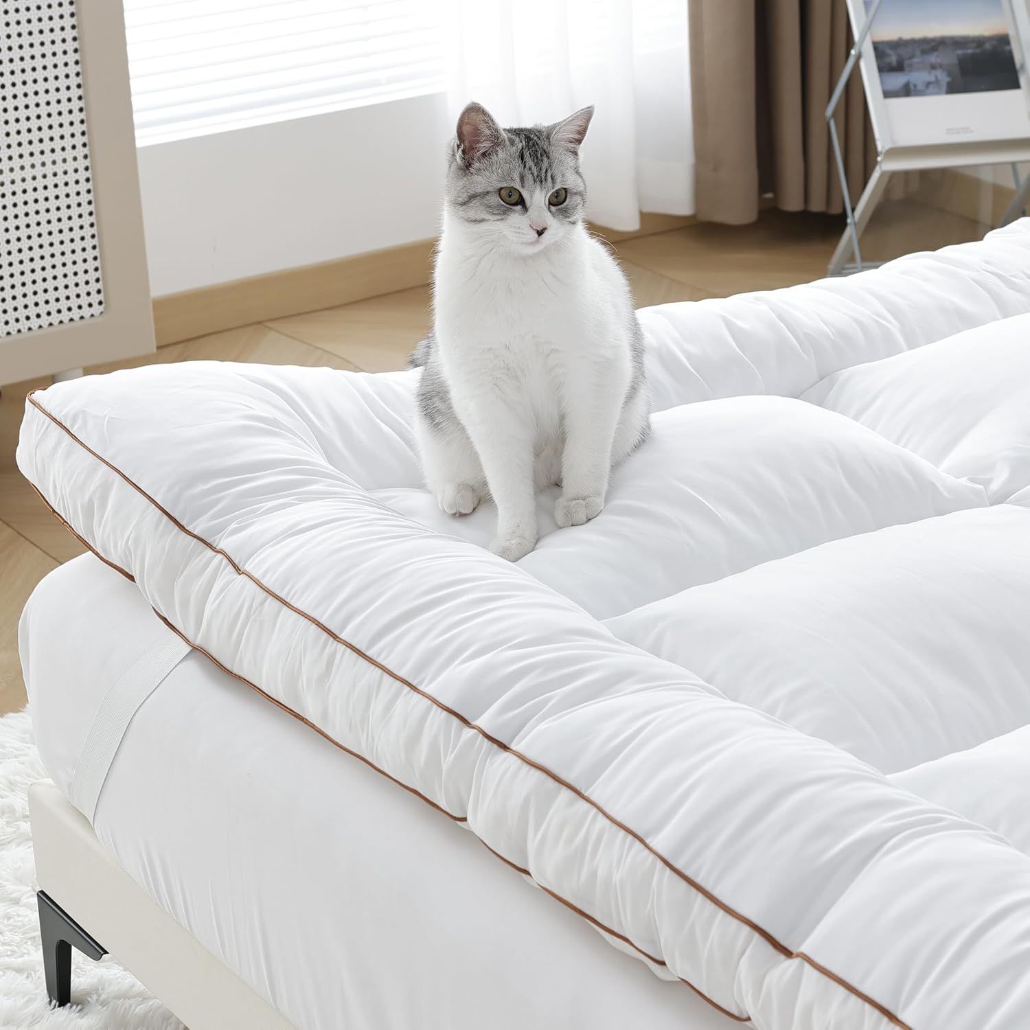 Whatsbedding 3 Inch Memory Foam Mattress Topper (Queen, 60X80), 1700 Gsm
