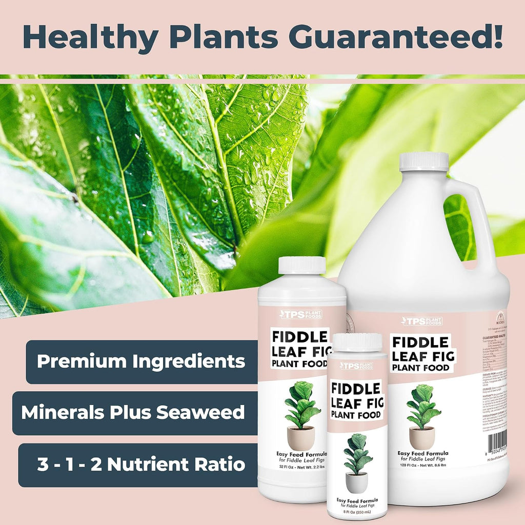 Fiddle Leaf Fig Plant Food – Liquid Fertilizer For Bigger Leaves, Stronger Roots & Healthy New Growth, 8Oz