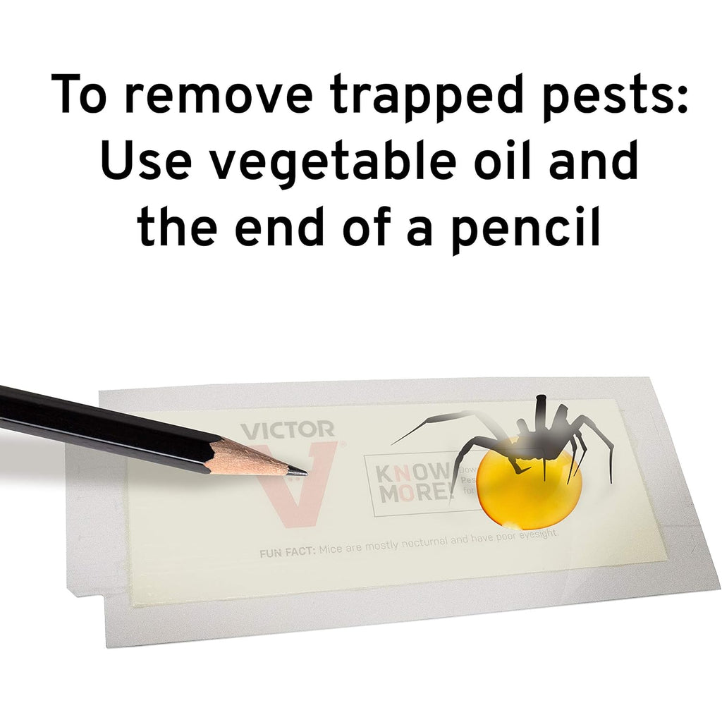 Victor M309 Professional Glue Boards For Insect And Rodent Monitoring - 72 Glue Boards
