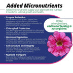 Jack'S Classic 20-6-22 Petunia Feed Water-Soluble Fertilizer With Micronutrients, 1.5Lbs - Provides Lush Green Annuals
