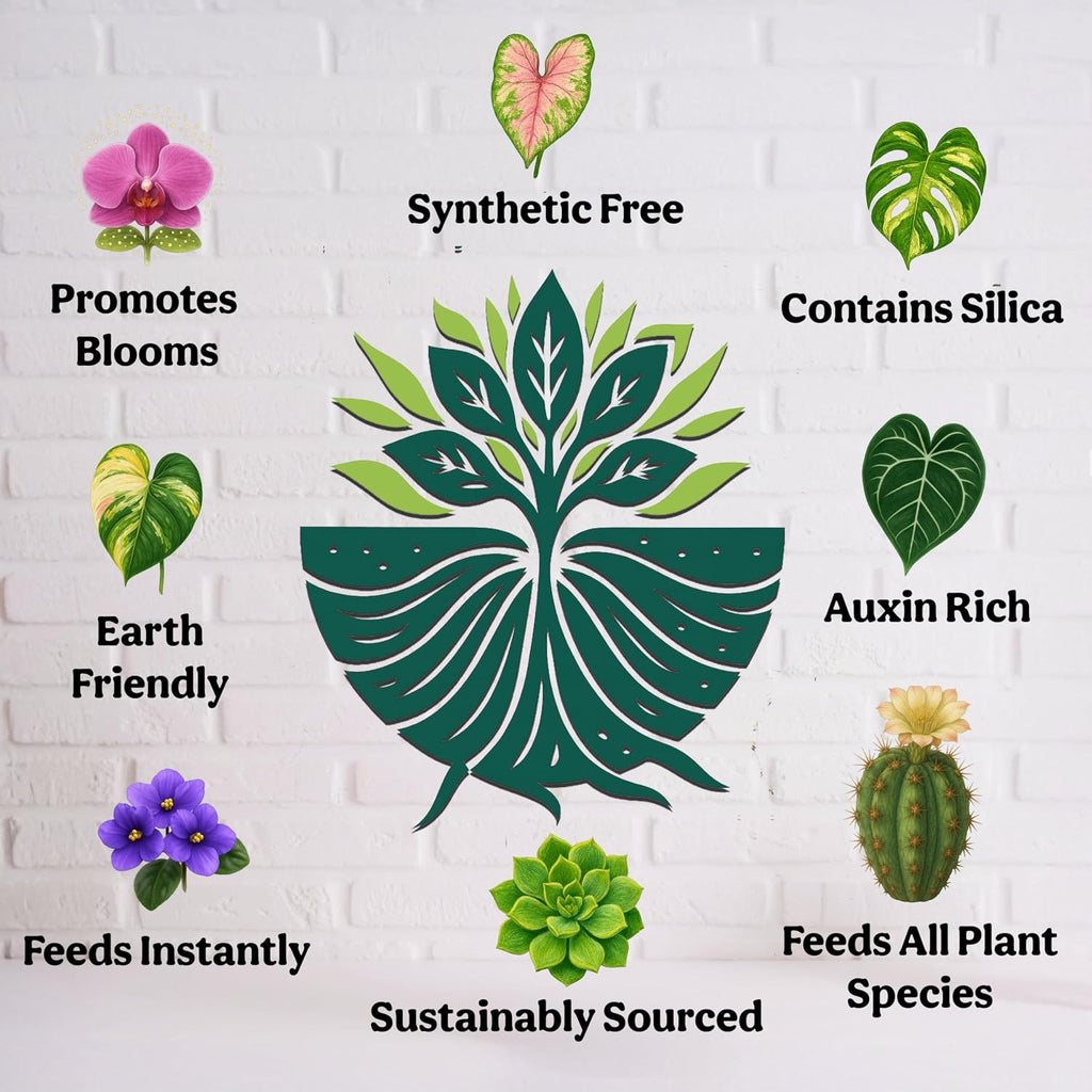 Organic Liquid Indoor Plant Food, Houseplant, Tropical & All-Purpose Indoor Plant Fertilizer, Organic Liquid Fertilizer 5-5-5 With Sea Kelp, 8Oz Treats 50 Gallons