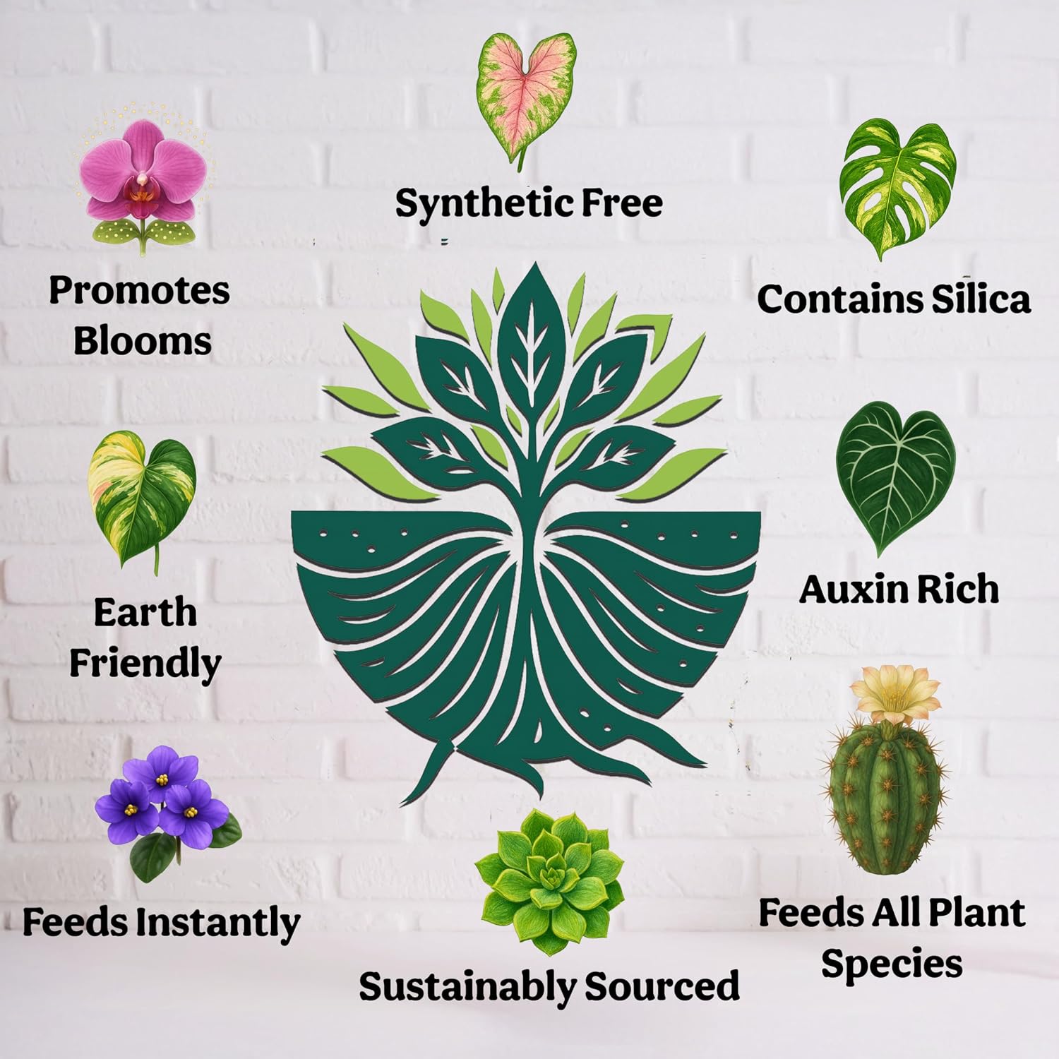 Organic Liquid Indoor Plant Food, Houseplant, Tropical & All-Purpose Indoor Plant Fertilizer, Organic Liquid Fertilizer 5-5-5 With Sea Kelp, 8Oz Treats 50 Gallons