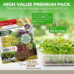 Todd'S Seeds Broccoli & Friends Mix 1/4 Lb - Broccoli Alfalfa Radish Clover | Broccoli, Clover, Radish & Alfalfa. Fast-Growing Microgreens In 5 Days. Chemical Free, High Germination. Usa Made Since 2009.