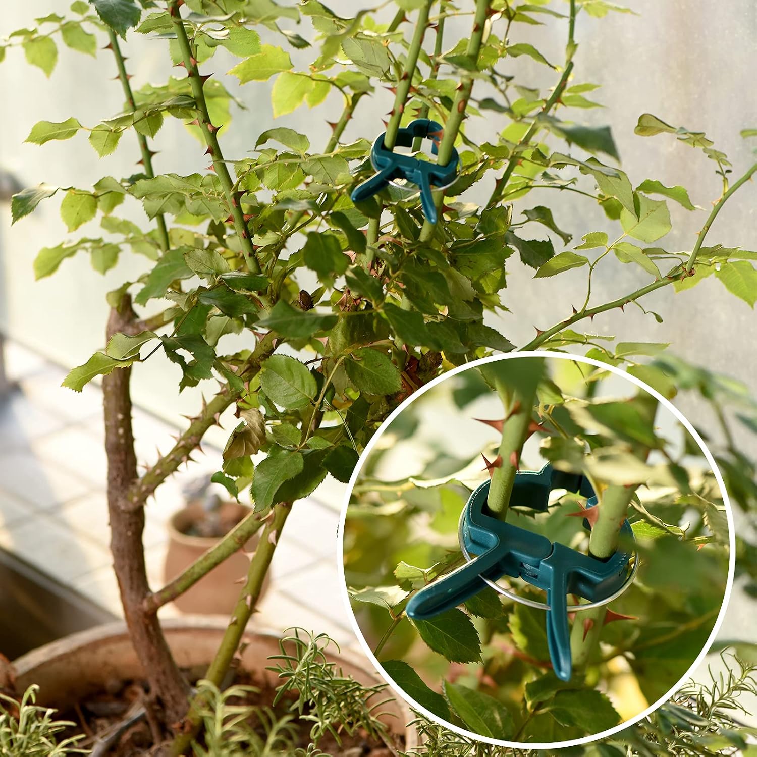 Perszen Plant Support Clips, 80 Pcs Gentle Flower Plant Clamps For Supporting Vine Climbing Plants, Gardening Lever Loop Gripper Clips Help Stems Vines Grow Straight Upright, 2 Sizes In One Pack