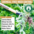 Grampa'S Weeder Original Stand Up Weed Puller Tool With Bamboo Long Handle | 4-Claw Steel Head • Weeding Tool • Weed Remover Tool • Pulls Dandelions, Crabgrass & Taproots • No Bending • Saves Your Back