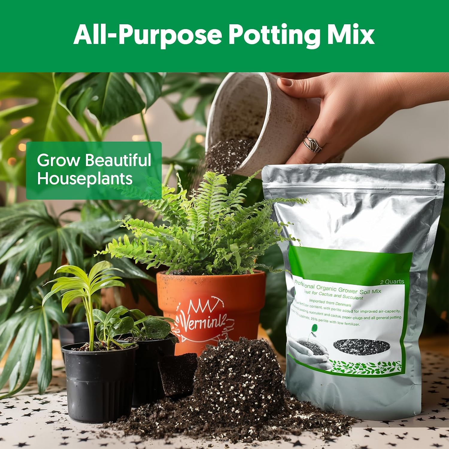 Succulent Cactus Potting Soil Mix (2 Qt), All-Purpose Garden Potting Mix For Indoor Outdoor Plants, Quick Drain Houseplant Orchid Bonsai Perlite Soil, Ready-To-Use, Resealable Bag Design