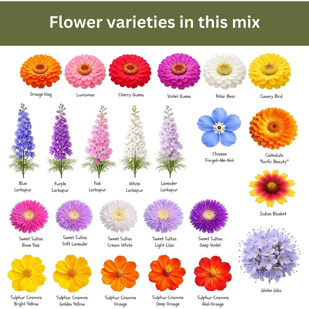 Cut Flower Garden Seed Mix – 15,000+ Seeds – 1 Oz Extra Large Packet – Non-Gmo Flower Seeds – Zinnia, Cosmos, Larkspur, Calendula, Bishop’S Flower & More For Bouquets & Cutting Gardens