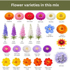 Cut Flower Garden Seed Mix – 15,000+ Seeds – 1 Oz Extra Large Packet – Non-Gmo Flower Seeds – Zinnia, Cosmos, Larkspur, Calendula, Bishop’S Flower & More For Bouquets & Cutting Gardens