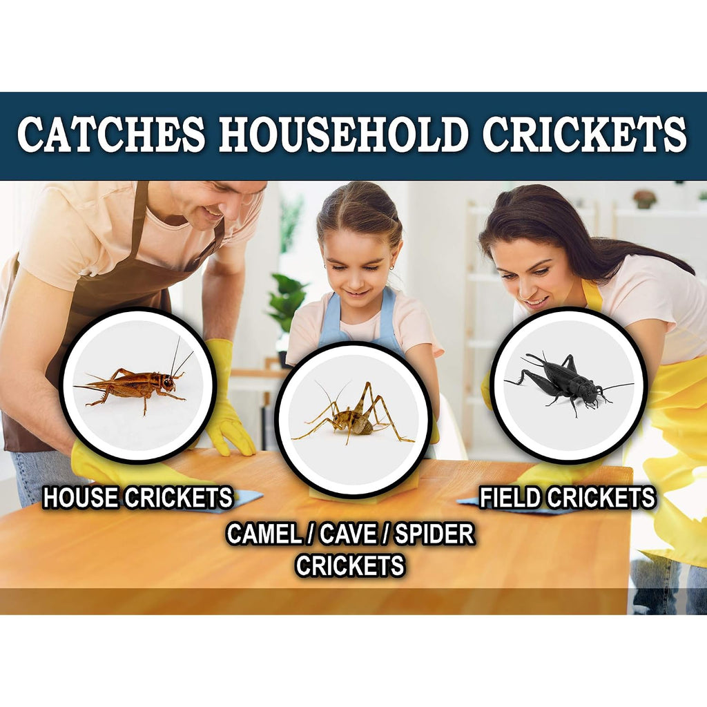 Maxguard Extra Large Cricket Traps (8 Traps) | Non-Toxic Extra Sticky Glue Board Pre-Baited Cricket Attractant Trap & Kill House Crickets, Insects, Spiders, Bugs