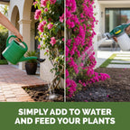 Bougainvillea Fertilizer – Liquid Plant Food For More Blooms, Brighter Color & Fuller Growth, 8 Oz