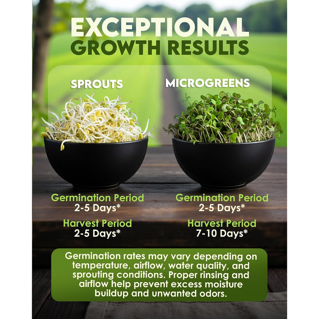 Nature Jim'S Sprout Organic Broccoli Seeds – Non-Gmo, Sprouting Seeds - 8Oz | Rich In Sulforaphane - Fast-Growing Microgreen Plants – Ideal Sprouting Seeds For Fresh & Nutritious Indoor/Outdoor Gardening