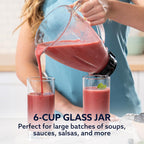 Oster Classic Series 16-Speed Blender With Food Chopper & 6-Cup Glass Jar, Countertop Kitchen Blender, Brushed Nickel