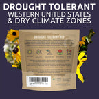 Drought Tolerant Wildflowers Mix – Extra Large Packet – Over 7,500 Open Pollinated Non-Gmo Seeds – 21 Different Dryland Species