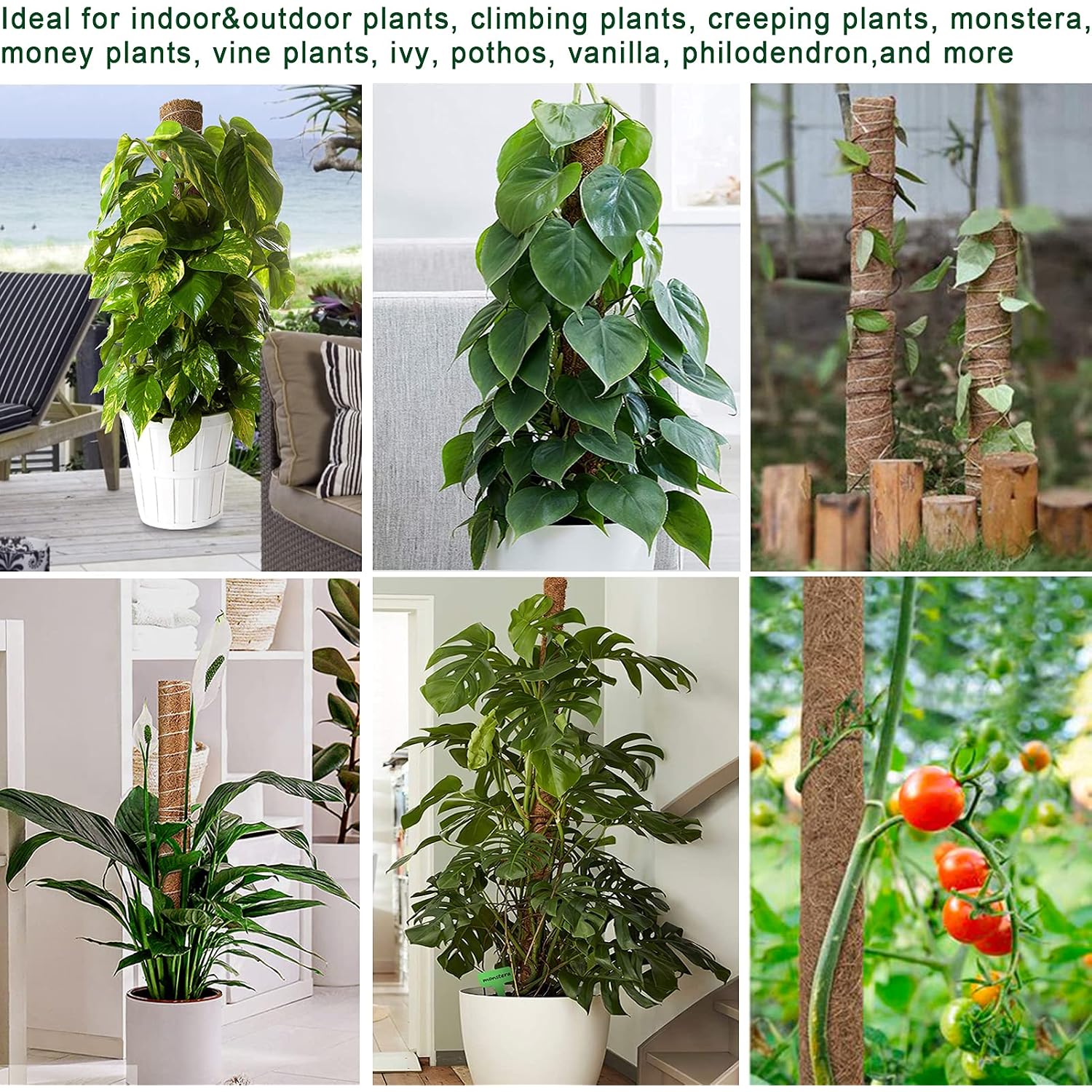 Fabulas Moss Pole 47.5 Inch - Monstera Plant Support, 4 Packs 16 Inch Plant Stakes For Indoor Plants Coco Coir Moss Pole Sticks For Climbing Potted Live Plants, Pothos, Philodendron, With Garden Ties