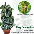 4 Pack 22 Inch Moss Poles, Stackable Moss Pole For Plants Monstera, 70 Inch Tall Moss Poles For Climbing Plants Indoor, Coir Totem Plant Support Stakes Stand For Potted Plants, Pothos