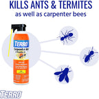 Terro Ready To Use Indoor And Outdoor Carpenter Ant, Termite, And Carpenter Bee Killer Aerosol Spray - T1901Sr - 2 Pack, 32 Total Ounces | Indoor & Outdoor Treatment For Ants, Termites, & Wood-Infesting Insects, Two-Way Spray Nozzle, 32 Total Oz