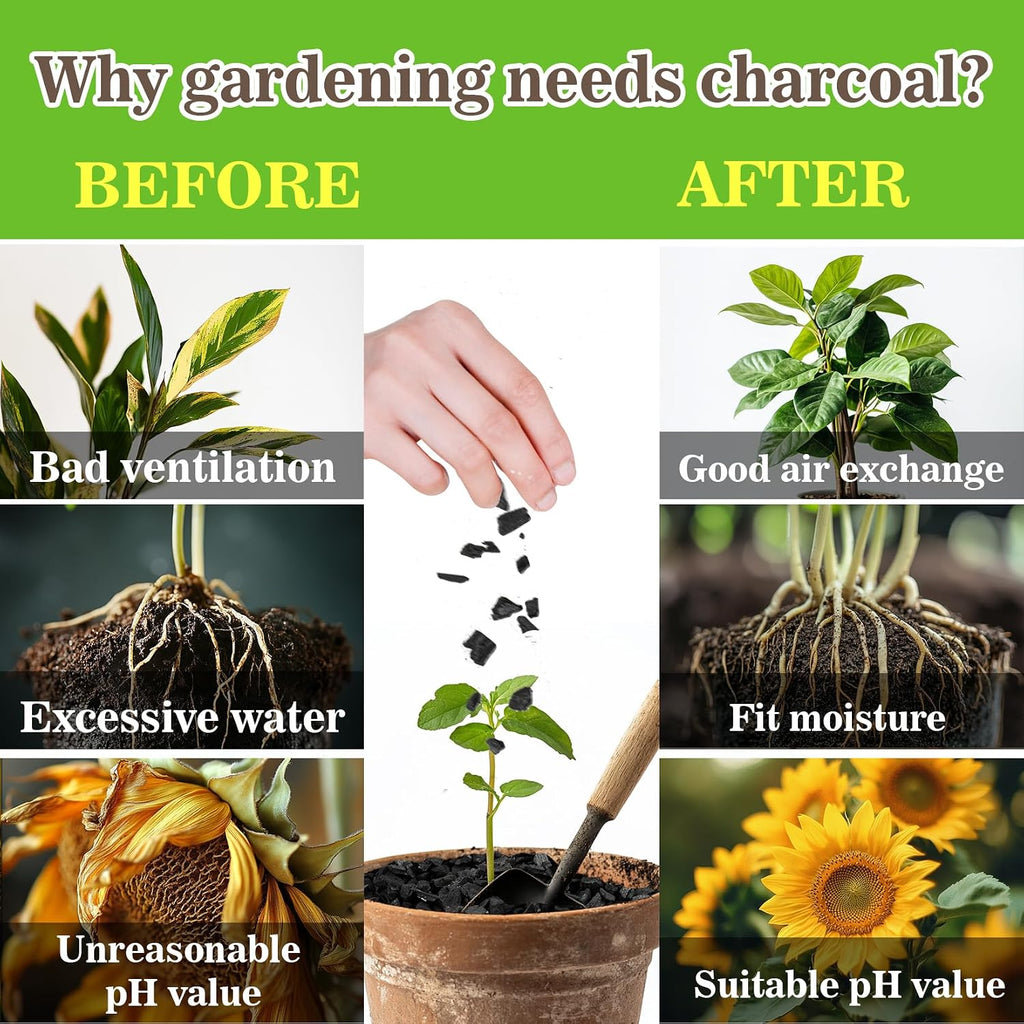 Sukh 1Qt Horticultural Charcoal For Plants - Organic Biochar Soil Amendment | Activated Charcoal For Plants, Succulents, Paphiopedilum, Bonsai, Terrarium, Gardening Potting Soil