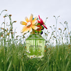 Marc Jacobs Daisy Wild Intense Eau de Parfum - Adventurous Floral Women's Perfume - With Notes of Banana Blossom, Jasmine Extract & Tuberose, Amber & Sandalwood