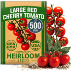 Home Grown Large Red Cherry Tomato Seeds 500+ Heirloom Non Gmo Seeds For Planting, High Germination, Indeterminate, Sweet & Juicy Salad Tomatoes, Prolific Garden Crop, Homestead (Solanum Lycopersicum)
