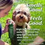 Bug Soother Natural Insect Repellent Spray, Deet-Free 8 Oz. (2 Count) | Plant Based | Repels Mosquitos, Gnats & No See'Ums | Family Safe | Made In The Usa