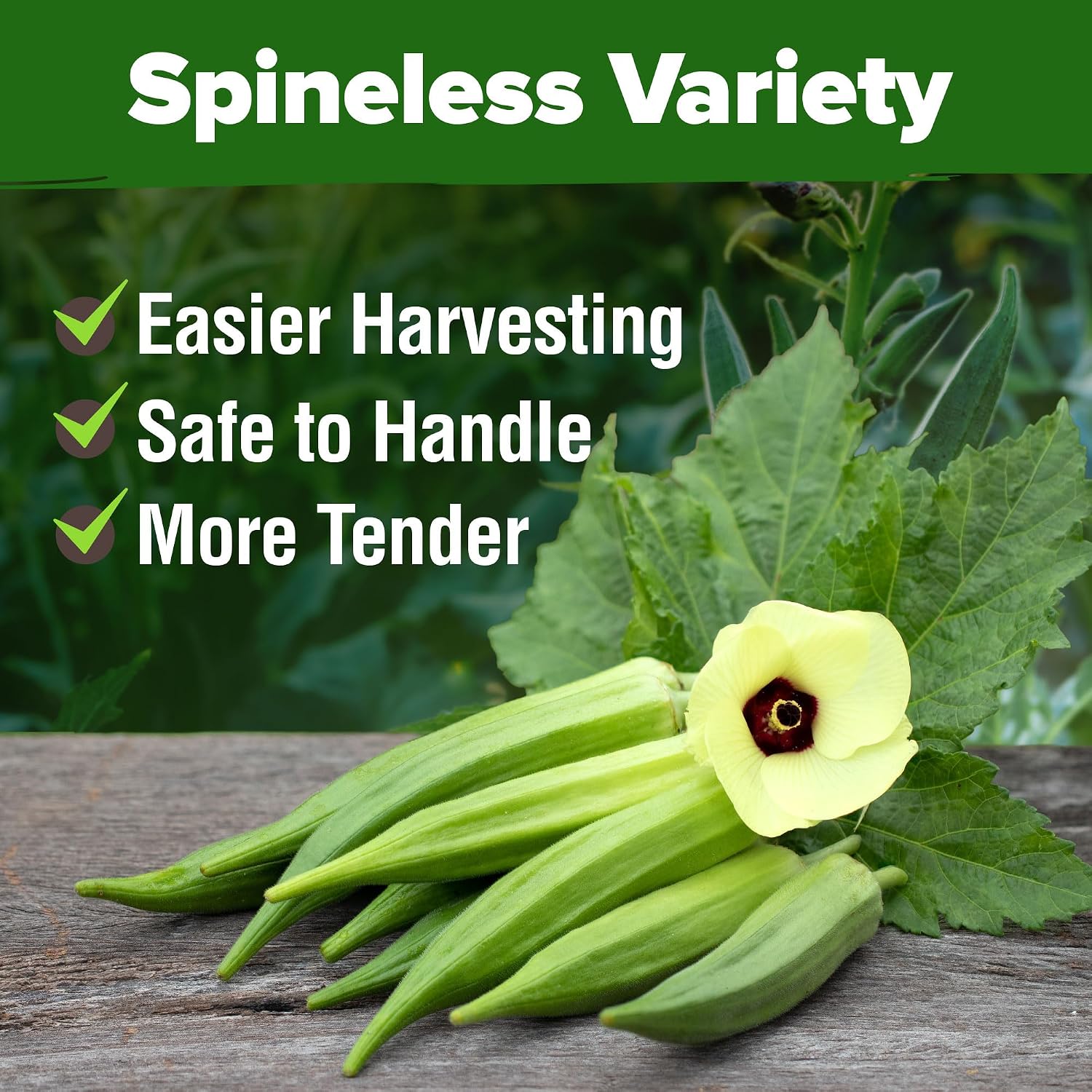 Home Grown Clemson Spineless Okra Seeds 101+ Heirloom Non-Gmo Vegetable Seeds For Planting, Easy To Grow Summer Garden, High Germination, Heat Tolerant, Tender Green Pods (Abelmoschus Esculentus)