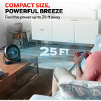 Honeywell Turboforce Air Circulator, Small Tabletop Fan, Quiet Personal Fan For Home Or Office, 3 Speeds, 90 Degree Pivoting Head, Black, Ht900