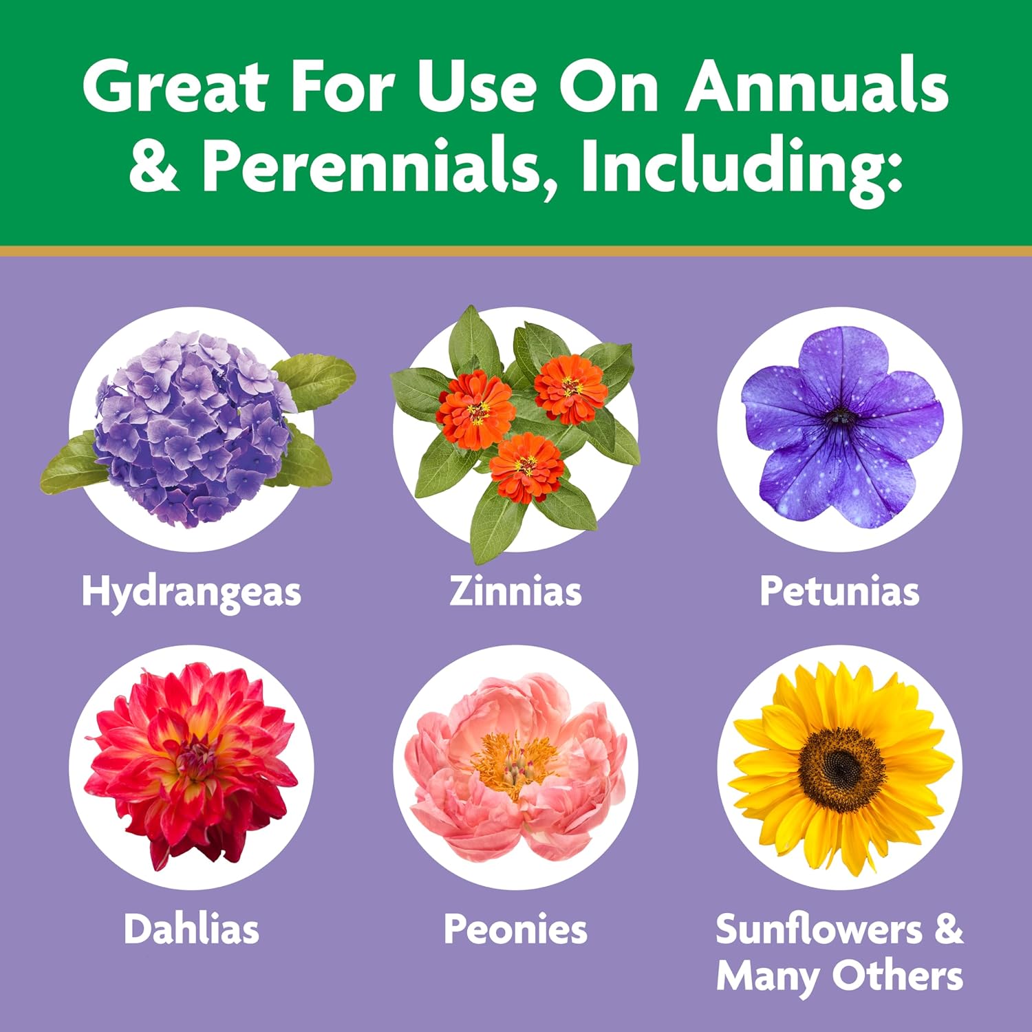 Miracle-Gro Water Soluble Bloom Booster Flower Food 4 Lb | Plant Fertilizer For Annual & Perennial Flowers, In-Ground & Container Roses, Hydrangeas, Hibiscus, 10-52-10 Npk