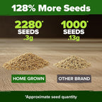 Home Grown German Chamomile Seed Pack 2,280 Non Gmo Heirloom Seeds For Planting For Sustainable Gardens And Soothing Medicinal Herbal Teas (Matricaria Chamomilla)