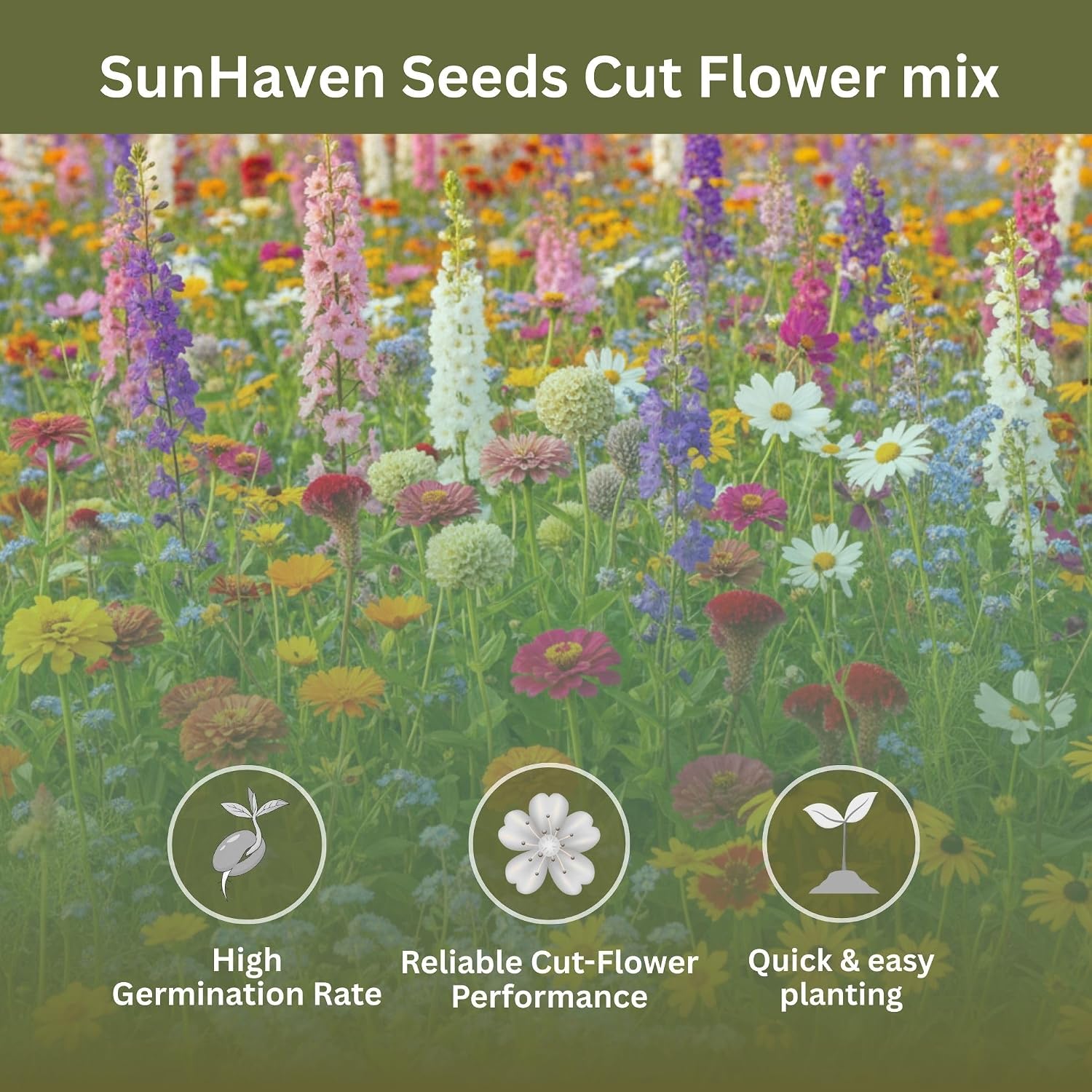 Cut Flower Garden Seed Mix – 15,000+ Seeds – 1 Oz Extra Large Packet – Non-Gmo Flower Seeds – Zinnia, Cosmos, Larkspur, Calendula, Bishop’S Flower & More For Bouquets & Cutting Gardens