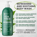 Kesmedik Tea Tree Body Wash Maxtherapy With Eucalyptus, Aloe & 100% Tea Tree Oil For Skin, Cleans, Soothes And Refreshes Sensitive, Itchy Skin, Body & Foot Soap For Men & Women, 2-Pack