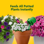 Miracle-Gro Pour & Feed Plant Food, 32 Fl. Oz. | Outdoor And Indoor Plant Fertilizer For Containers, Instantly Feeds