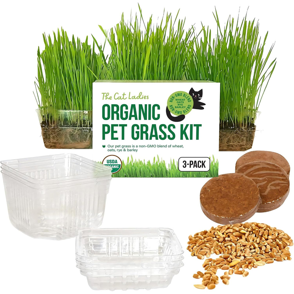 The Cat Ladies Cat Grass For Indoor Cats - Growing Kit - Organic Cat Grass Seeds, Soil And Bpa Free Containers (Non Gmo) - Locally Sourced Seeds! (3 Pack)