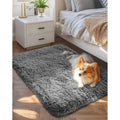 Ophanie Small Rug Upgrade Non Slip Throw Bedside Area Rugs, Fluffy Soft Grey Mini Bedroom Carpet, Affordable Door Entryway Indoor Inside Front Entrance Dog 2X3 Mat, Home Decor Aesthetic, Nursery