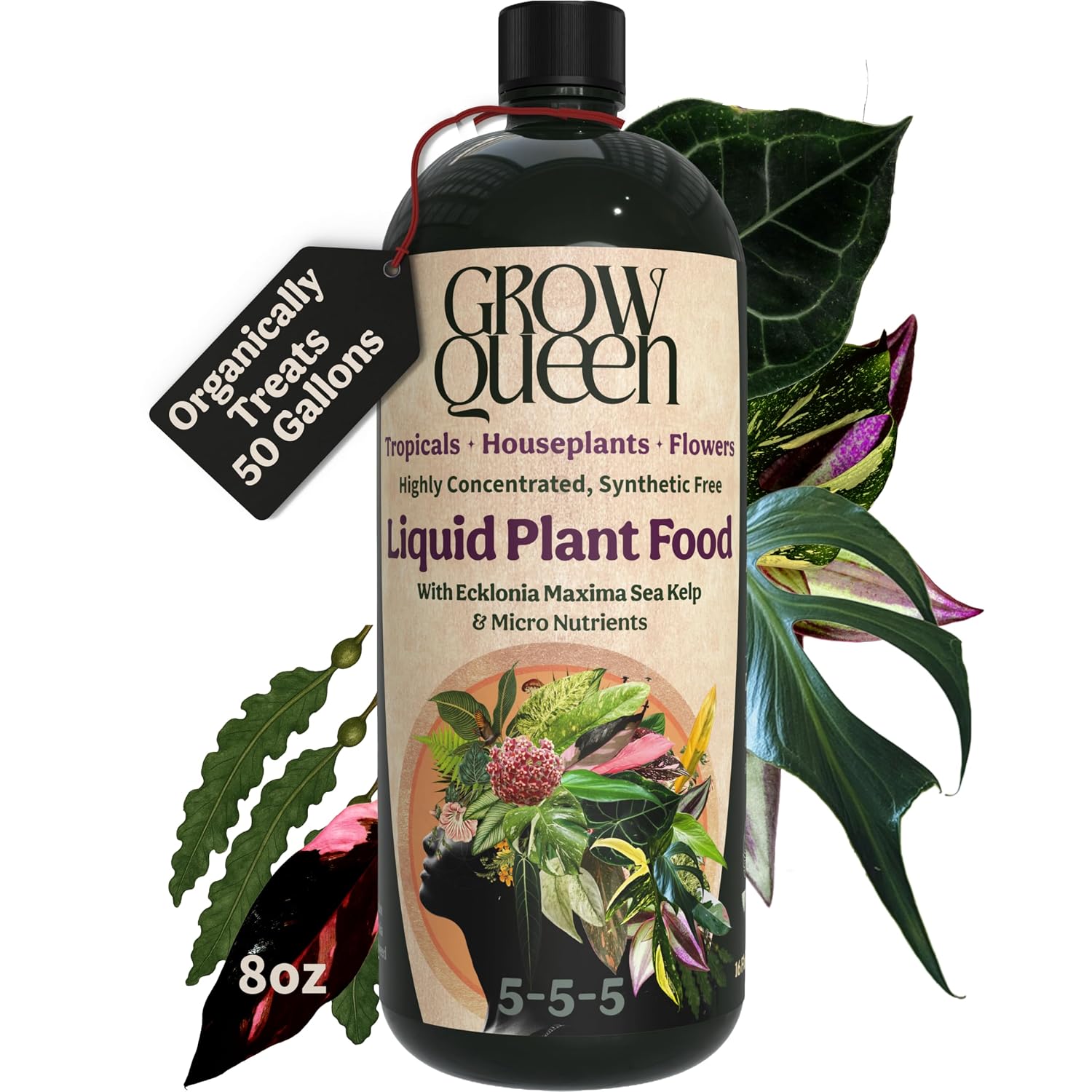 Organic Liquid Indoor Plant Food, Houseplant, Tropical & All-Purpose Indoor Plant Fertilizer, Organic Liquid Fertilizer 5-5-5 With Sea Kelp, 8Oz Treats 50 Gallons